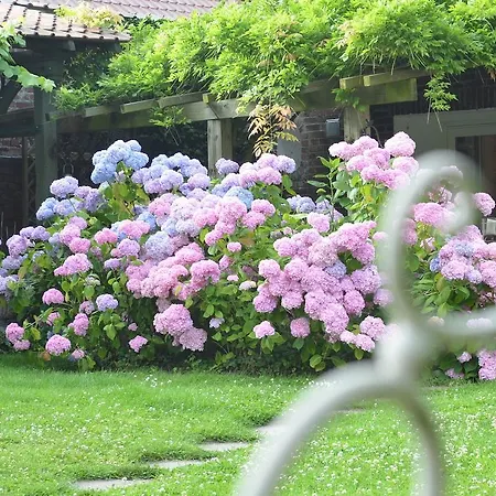 Maison D'hotes - Le Domaine De La Frenaie Estreux