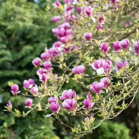 Maison D'hotes - Le Domaine De La Frenaie Estreux